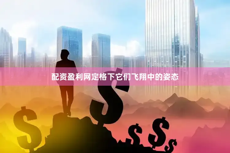 配资盈利网定格下它们飞翔中的姿态
