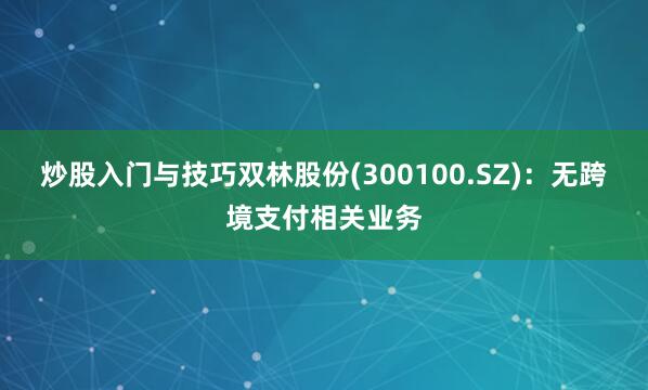 炒股入门与技巧双林股份(300100.SZ)：无跨境支付相关业务
