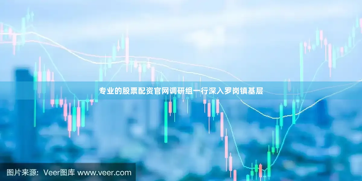 专业的股票配资官网调研组一行深入罗岗镇基层