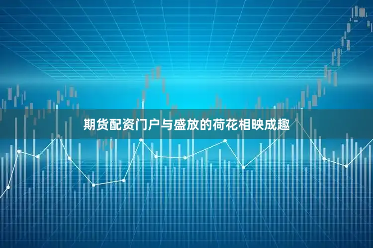 期货配资门户与盛放的荷花相映成趣