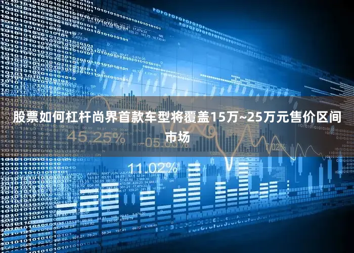 股票如何杠杆尚界首款车型将覆盖15万~25万元售价区间市场