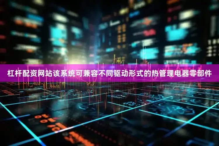杠杆配资网站该系统可兼容不同驱动形式的热管理电器零部件