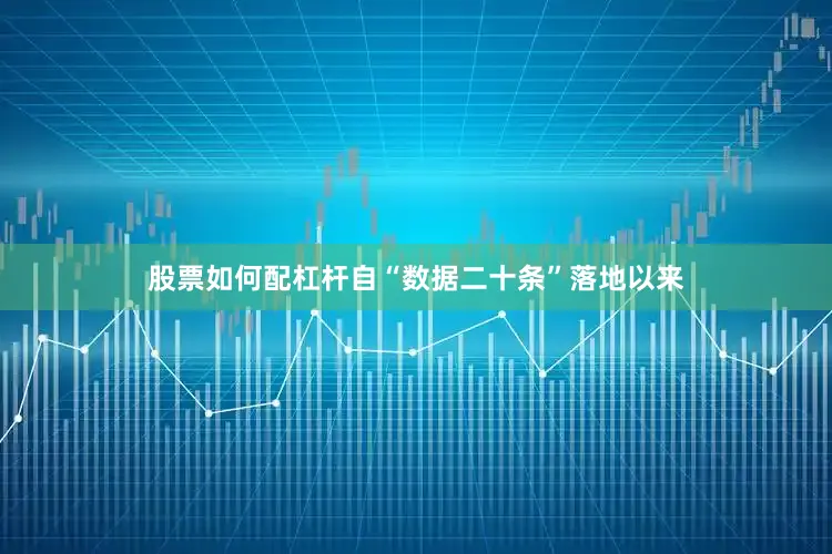 股票如何配杠杆自“数据二十条”落地以来